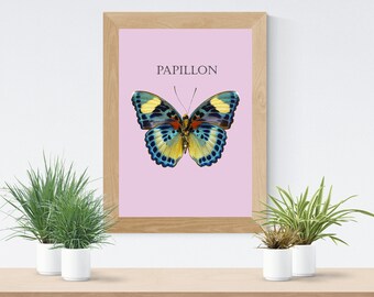 Art Print of Butterfly, Papillon Print, Unframed A3 or A4 Print