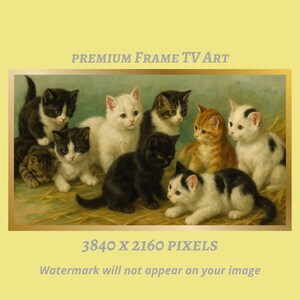 May include: A framed artwork featuring a group of kittens in various colors, including black, white, and orange. The kittens are arranged on a bed of hay. The text "PREMIUM FRAME TV ART" is at the top.