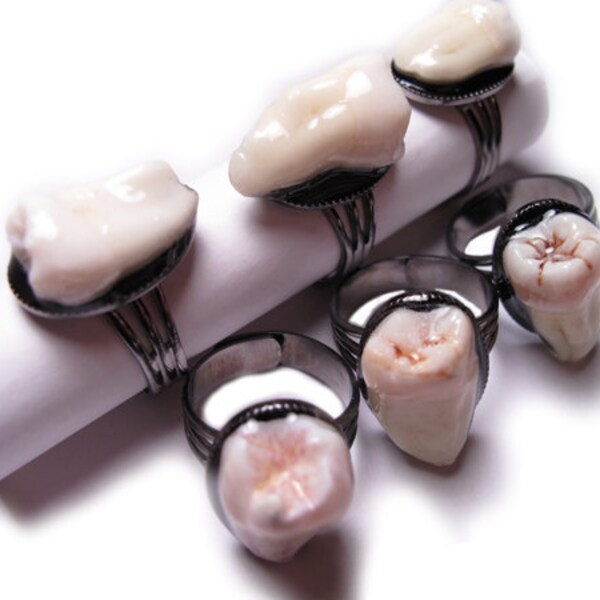 Human Tooth Ring Real Human Teeth Jewelry