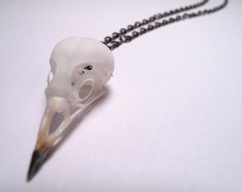 Bird Skull Necklace Real Bird Skull Jewelry Bird Skull Pendant Animal Skull Bone Jewelry