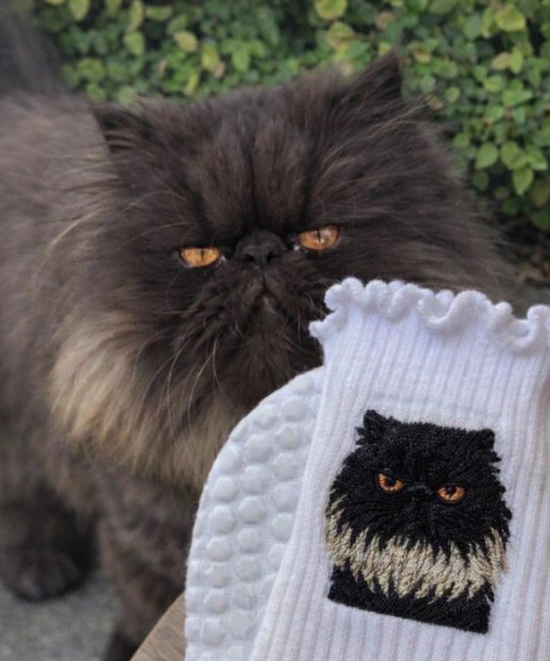 May include: A white ribbed sock featuring a ruffled top edge and an embroidered patch of a long-haired black cat with orange eyes. The cat has a dark face and a lighter, cream-colored chest area, matching the appearance of the cat behind it.
