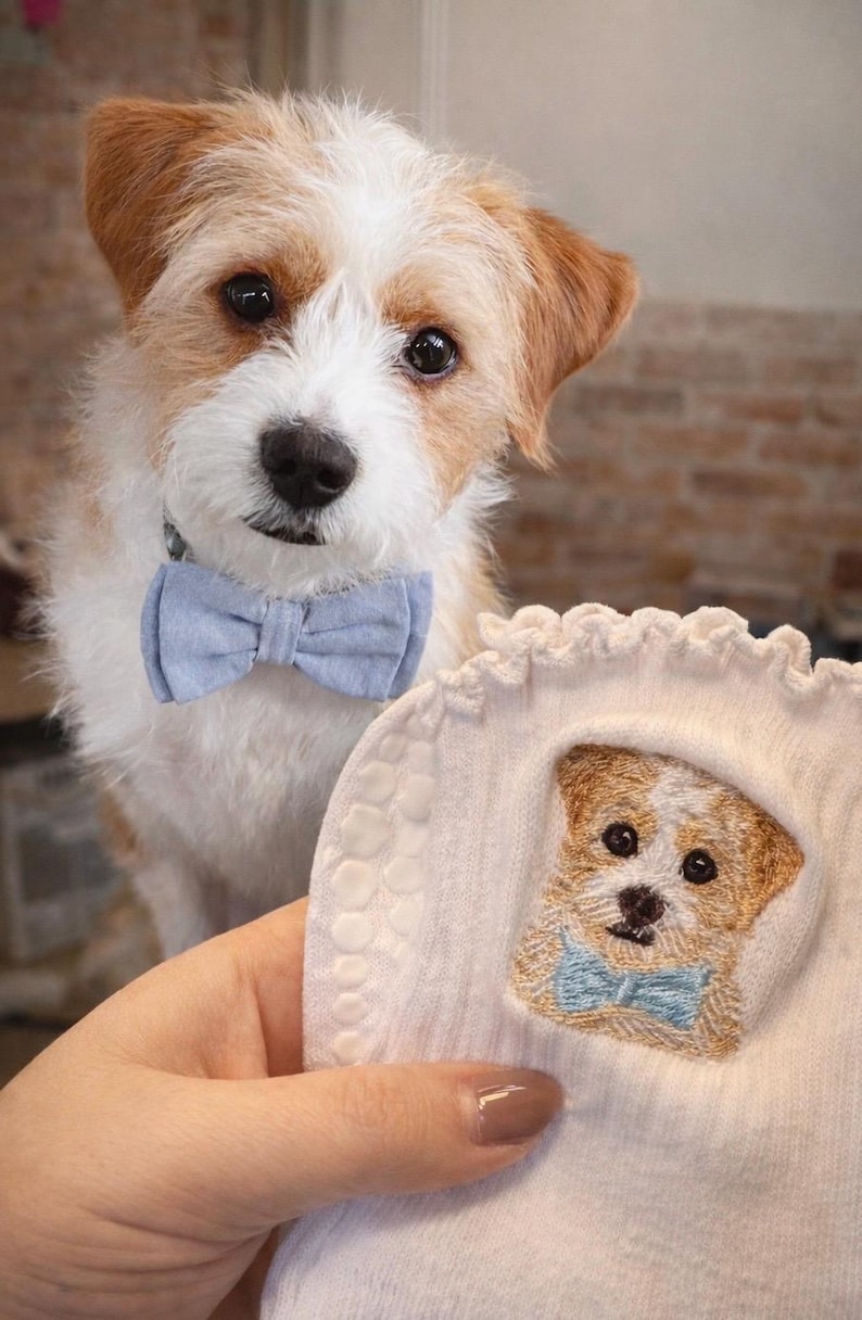 May include: A white sock featuring an embroidered portrait of a small, scruffy, tan and white dog wearing a light blue bow tie. The embroidery is framed by a ruffled edge, and the sock has a textured grip pattern on the side of the fabric.