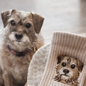 May include: A pair of beige ribbed socks featuring a detailed embroidered portrait of a scruffy brown and white terrier dog. The embroidery captures the dog's dark eyes, brown nose, and textured fur, matching the appearance of the dog nearby.