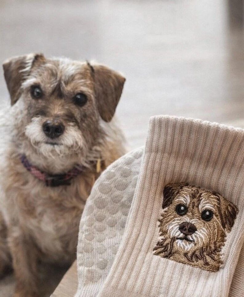 May include: A pair of beige ribbed socks featuring a detailed embroidered portrait of a scruffy brown and white terrier dog. The embroidery captures the dog's dark eyes, brown nose, and textured fur, matching the appearance of the dog nearby.