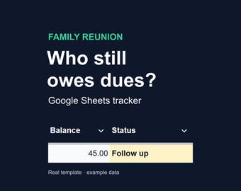 Family Reunion Payment Tracker, Dues Spreadsheet & Household Balance Organizer