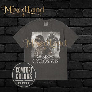 Op de afbeelding: Een antracietgrijs t-shirt met korte mouwen en een grafische print van een personage en een grote gepantserde figuur. De tekst "SHADOW OF THE COLOSSUS" is in het wit onder de illustratie gedrukt. Het t-shirt heeft een ronde halslijn.