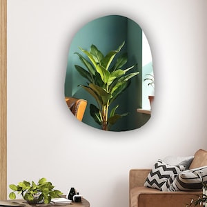 May include: An organic, pebble-shaped wall mirror with a smooth, frameless edge. The reflective surface displays a clear view of a green indoor plant, capturing the surrounding room environment within its irregular, rounded glass silhouette.
