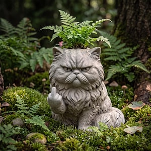 May include: A gray, sculpted cat planter with a textured, fur-like finish and a grumpy facial expression. The cat is depicted with one paw raised, extending its middle finger. A small green fern plant grows from the top of the cat's head.