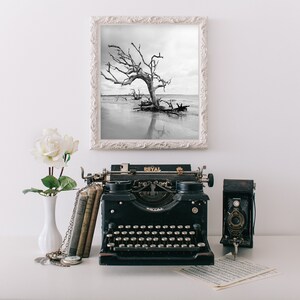 Jekyll Island Georgia Driftwood Beach Black and White Paris Fine Art Photography Home Decor Black and White Photography Coastal Beach Photo