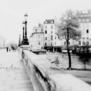Paris France Street Bridge Fine Art Print Wall Art Home Decor Paris France World Travel Photography