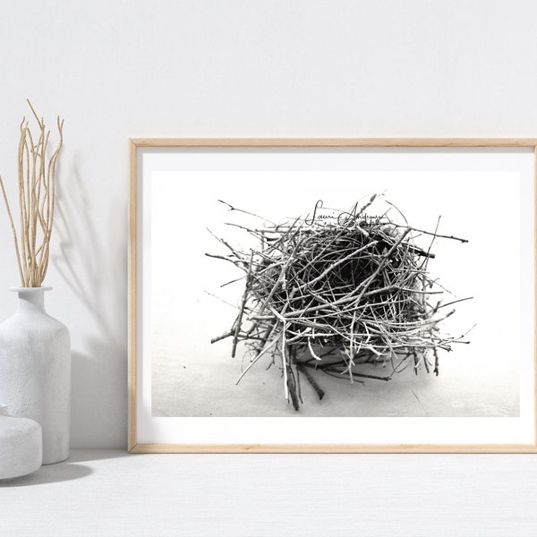 Wildlife Bird Nest Fine Art Photography Home Decor Print Nature Art Photo Black and White