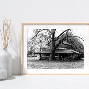 Deep South Barn Remains Black and White Art Photography Home Decor Black and White Photography Southeast United States Photo