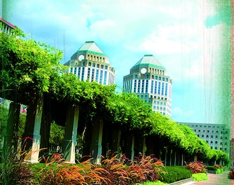 Cincinnati Collection: P&G Gardens