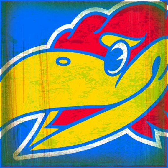 Jayhawk Head
