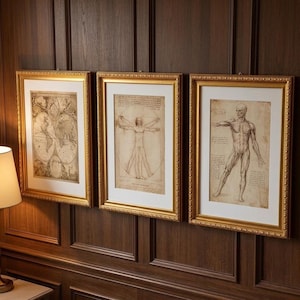 Pode incluir: Três impressões emolduradas em molduras douradas ornamentadas com paspatur branco. A impressão da esquerda mostra um mapa-múndi vintage, a central exibe o Homem Vitruviano e a da direita apresenta um estudo anatômico de uma figura humana.