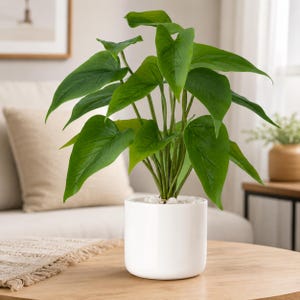 Artificial Pothos Plant in White Ceramic Pot, Faux Greenery, Small Fake Plant, Realistic Indoor Plant Decor, Desk Shelf Office