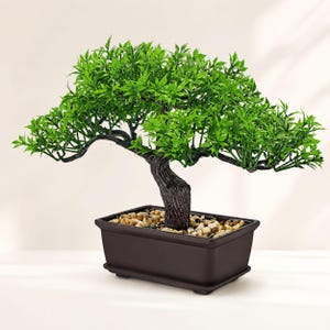 Árbol bonsái artificial de ficus en maceta decorativa, mini bonsái artificial para escritorio, estante, oficina y decoración zen del hogar, planta de interior.