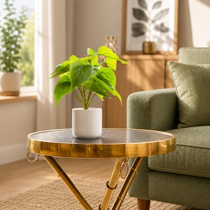 Pode incluir: Uma pequena planta verde com folhas em forma de coração está num vaso de cerâmica branca, liso e cilíndrico. A planta está colocada sobre uma mesa de apoio redonda com uma estrutura de metal dourado e um tampo circular texturizado.