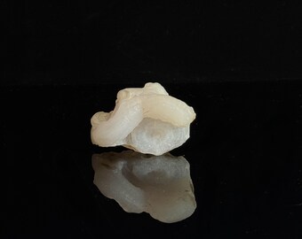May include: A small, translucent, off-white mineral specimen with a botryoidal, rounded surface texture. The stone features a layered, crystalline structure with a smooth, waxy luster and irregular, organic edges, reflecting light on its surface.