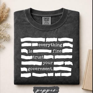 Everything Is Fine Trust Your Government Shirt, Redacted Meme Top, Sarcastic Political Tee, Conspiracy Theory Humor, Satire Quote T-shirt