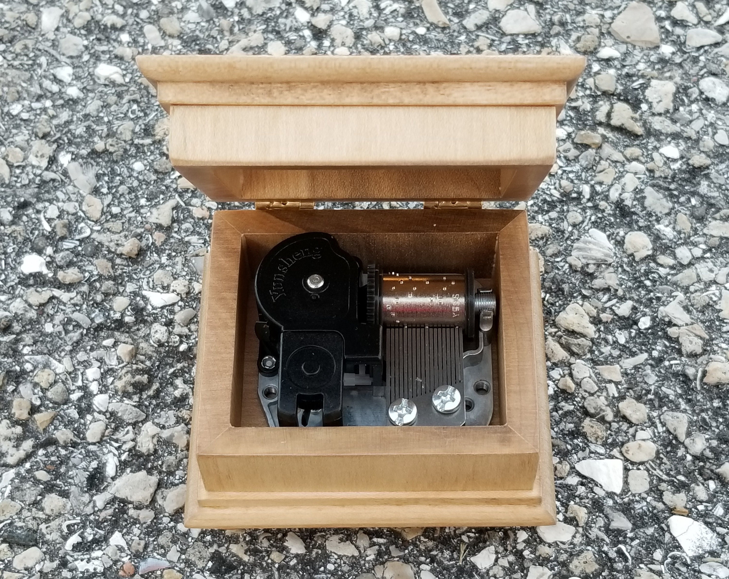 Custom music box butterfly music box name engraved music box Etsy