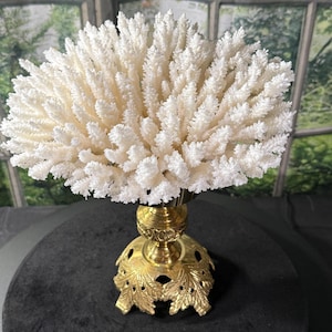 May include: A decorative white coral-like sculpture sits atop a gold-colored metal base. The base has a detailed, ornate design with leaf-like cutouts. The coral is a clustered, textured arrangement.