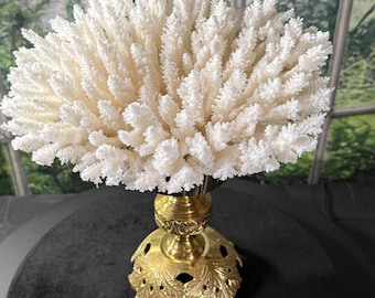 Large Coral and Shell Decor on Vintage Italian Brass Pedestal – Coastal Home Accent