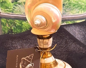 Mother of Pearl Turbo Shell Decor on Vintage Brass Base