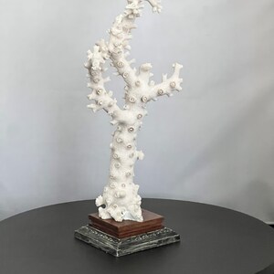 Octopus Composition Book: 100 Sheets/200 Pages, Wide Rule