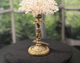 Antique Brass Base with Lace Coral: French Statement Piece