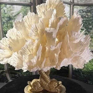 May include: A cream-colored coral sculpture with a detailed, textured design. The coral sits atop a gold-colored base with dolphin figures. The sculpture is a decorative piece, likely for home decor.
