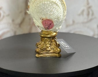 6 inch Fancy whole Spiny Oyster on a heavy bronze gold ornate base