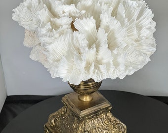 Eye catching Large Lettuce Coral mounted on a antiqued gold ornate footed base. SKU 209