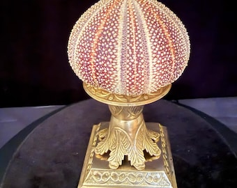 Natural English Sea Urchin paired with unique Brass Vintage Pedestal Coastal Decor