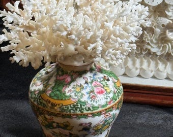 Famille Rose like vase paired with Lace Sea coral for your elegant coastal design.