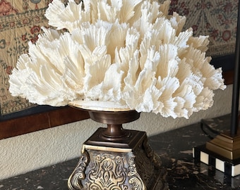 14" Lettuce Coral painted on a brass vintage ornate pedestal Elegant Coastal