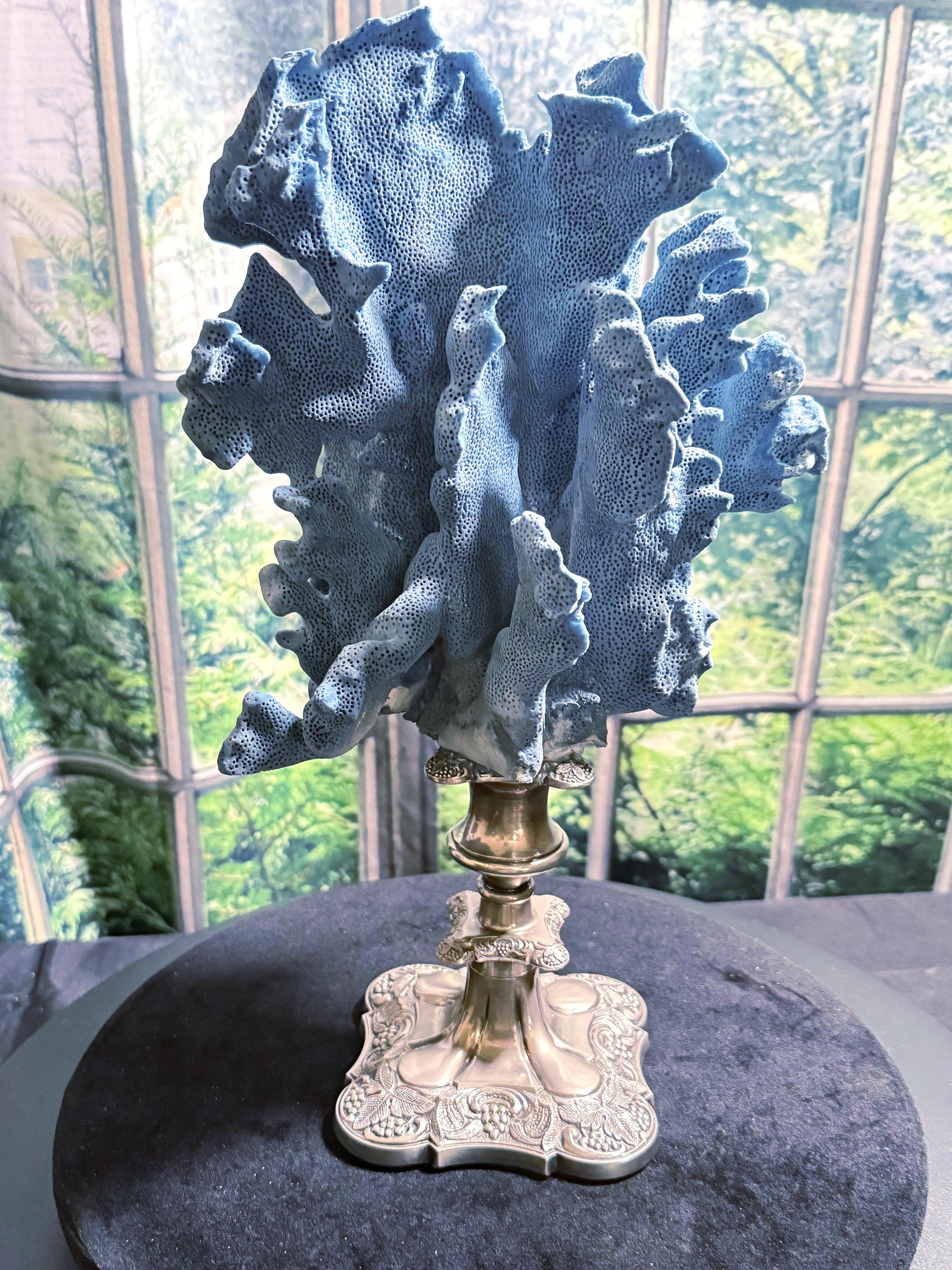black coral / 黒珊瑚 置物 台 Natural Coral Stand - Etsy