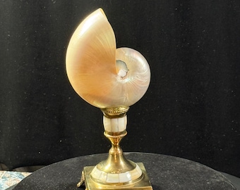 Pearlized Nautilus Shell Display: Vintage Mother of Pearl & Brass Base