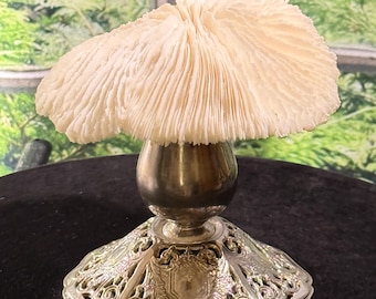 Natural Mushroom Sea Coral mounted on a English Silver Plated Pedestal Coastal Decor