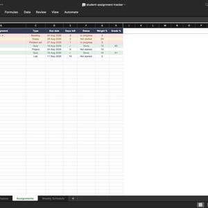 K&ouml;nnte beinhalten: Eine digitale Tabellenkalkulation zur Verfolgung von Studentenaufgaben auf einem Bildschirm. Die Tabelle enth&auml;lt Spalten f&uuml;r Class, Assignment, Type, Due date, Days left, Status, Weight % und Grade %. Die Zeilen sind wei&szlig;, rosa und hellgr&uuml;n farbcodiert.