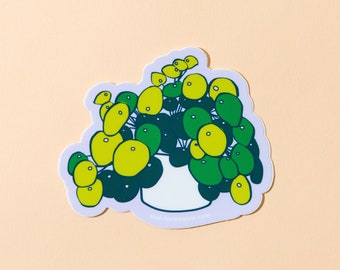 Pilea Plant Vinyl Sticker