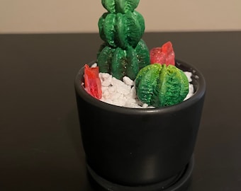 Pot de cactus miniature avec cristaux