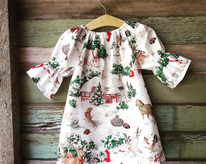 Girls Christmas Dress, Winter Dress, Nightgown, Christmas Toile, Coming