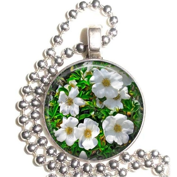 Cherokee Rose Art Pendant, Rosa Laevigata Photo Painting Resin Pendant, Silver Nickel Coin Charm Necklace