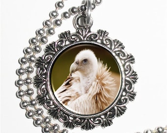 White Vulture Art Pendant, Bird Resin Pendant, Animal Photography Art, Photo Pendant Charm Necklace