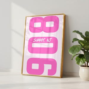 May include: A framed vertical wall art print featuring the large pink numbers 806 stacked vertically on a light pink background. The text SUMMIT, NJ is printed in a white script font across the middle number zero in the center of the design.