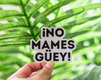 No Mames Guey! Sticker (funny stickers, laptop stickers, water bottle stickers, tumbler stickers)