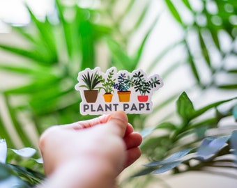 Plant Papi Sticker (funny stickers, laptop stickers, water bottle stickers, tumbler stickers)