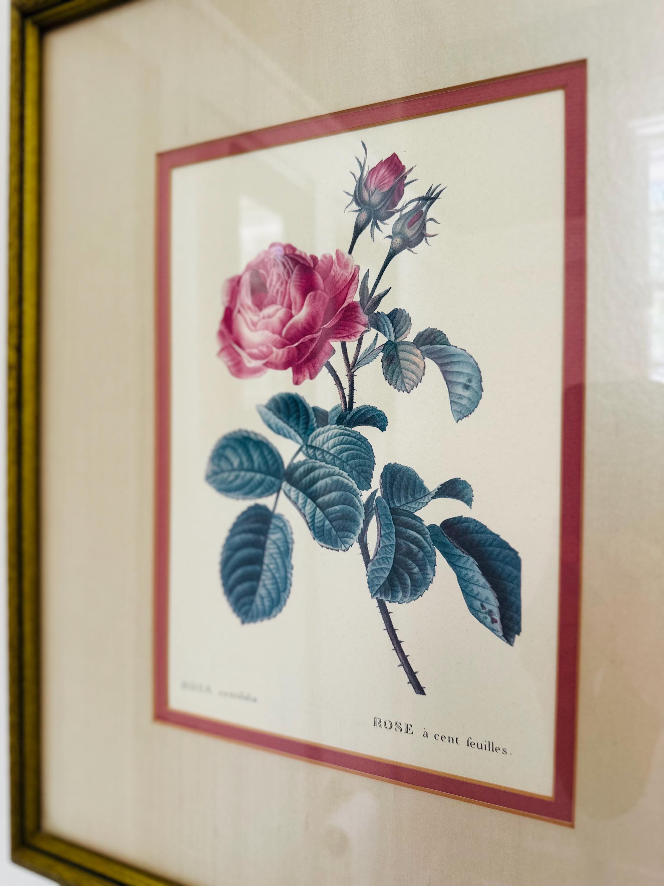 Pj redoute - Etsy 日本