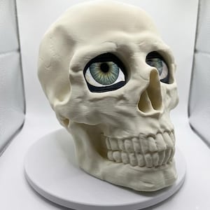 May include: A cream-colored, three-dimensional human skull model featuring realistic, detailed green and brown iris inserts within the eye sockets. The skull has a textured surface, a defined nasal cavity, and a full set of teeth in the jaw.